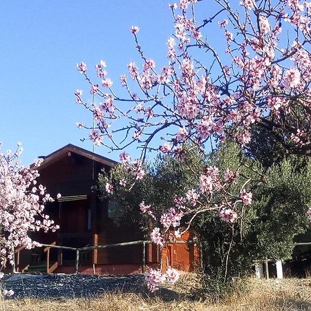 Casa La Colina Mandarina I Villa Tahal Dış mekan fotoğraf