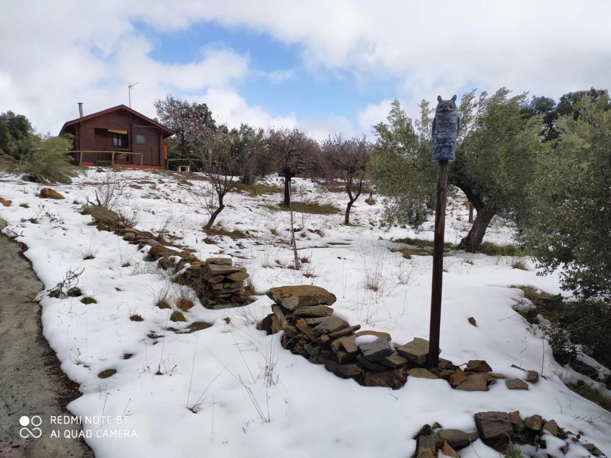 Casa La Colina Mandarina I Villa Tahal Dış mekan fotoğraf