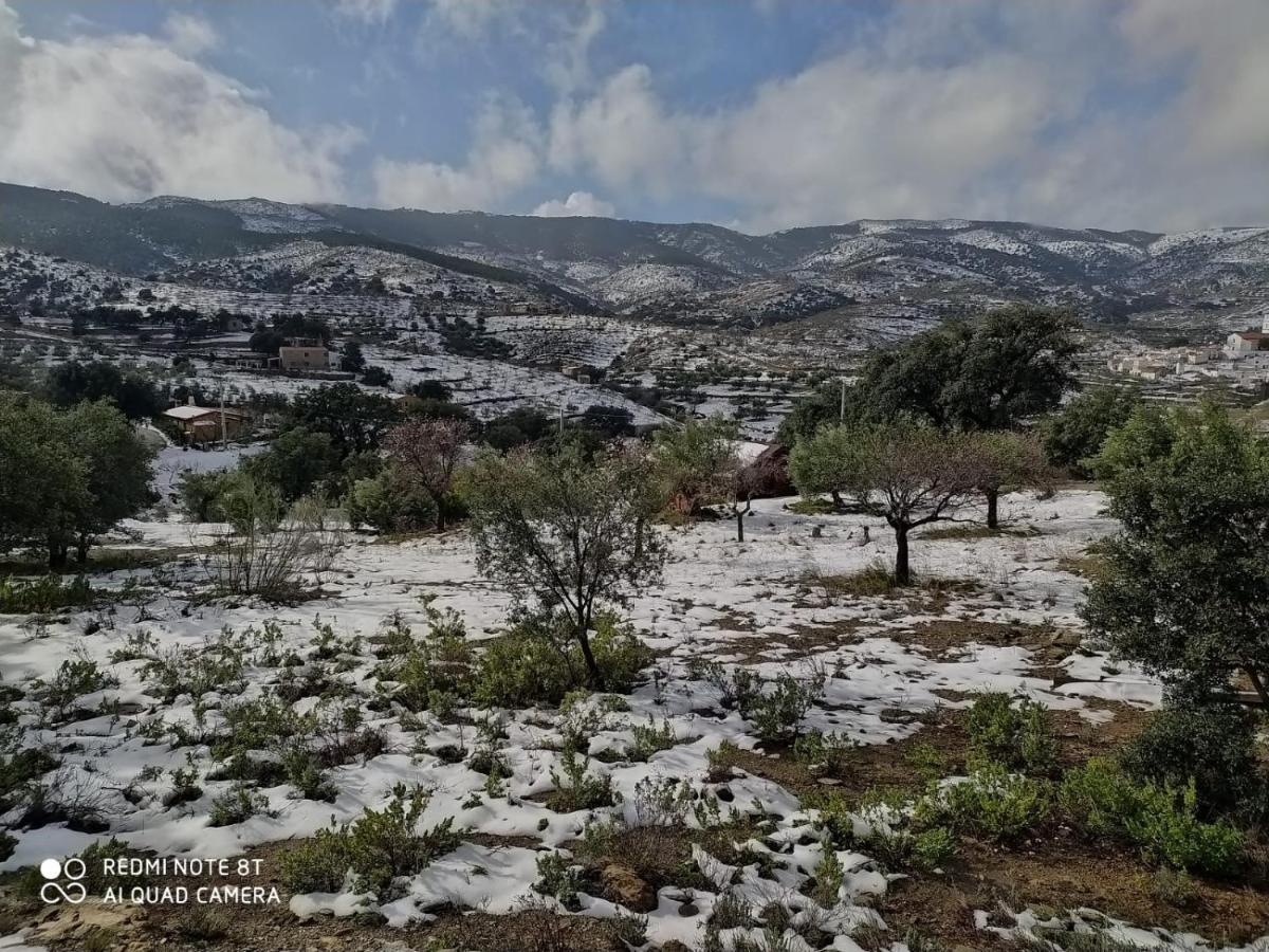 Casa La Colina Mandarina I Villa Tahal Dış mekan fotoğraf