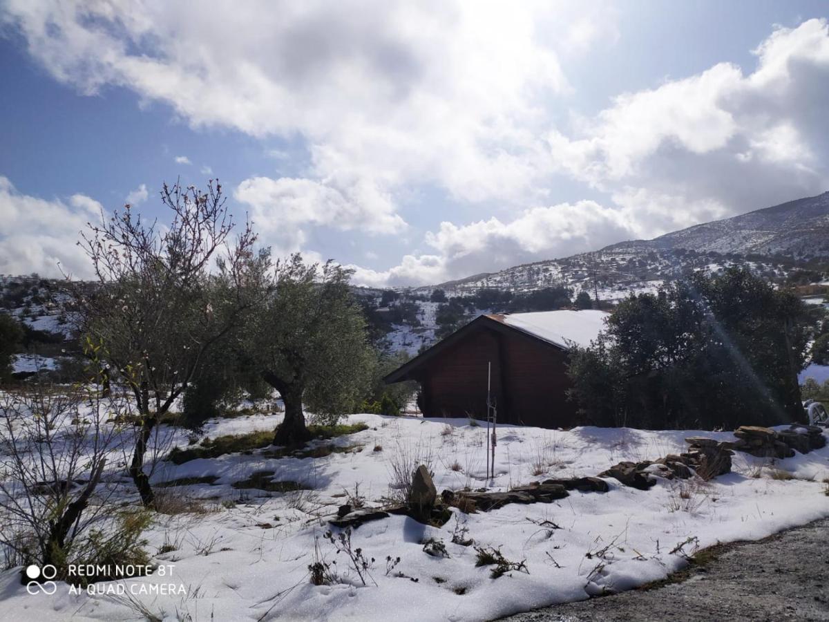 Casa La Colina Mandarina I Villa Tahal Dış mekan fotoğraf