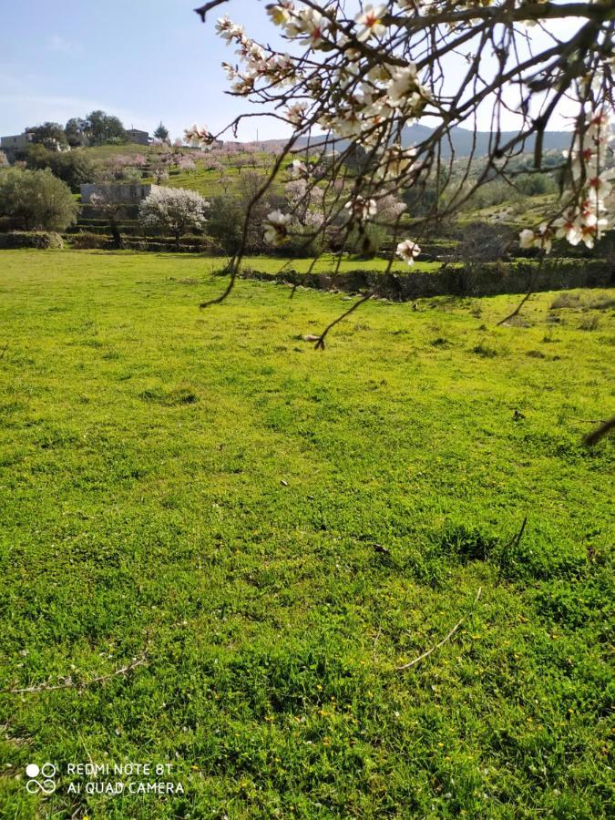 Casa La Colina Mandarina I Villa Tahal Dış mekan fotoğraf