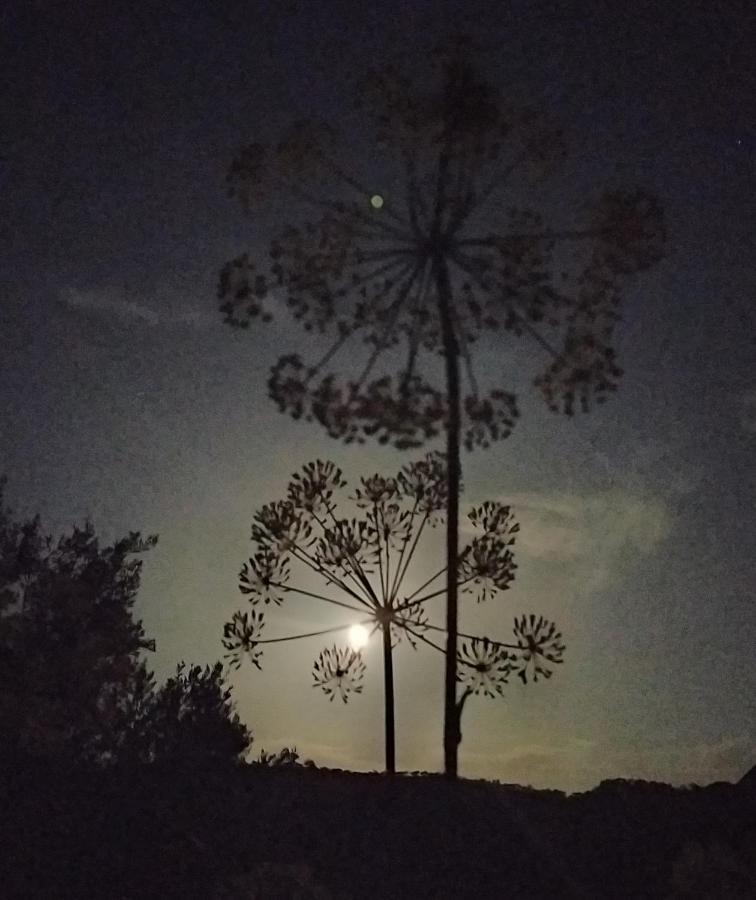 Casa La Colina Mandarina I Villa Tahal Dış mekan fotoğraf