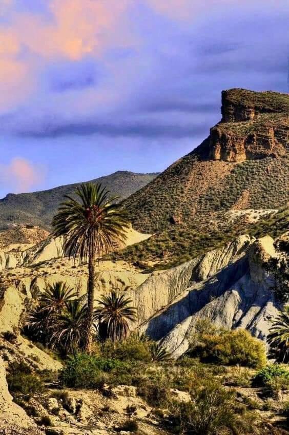 Casa La Colina Mandarina I Villa Tahal Dış mekan fotoğraf