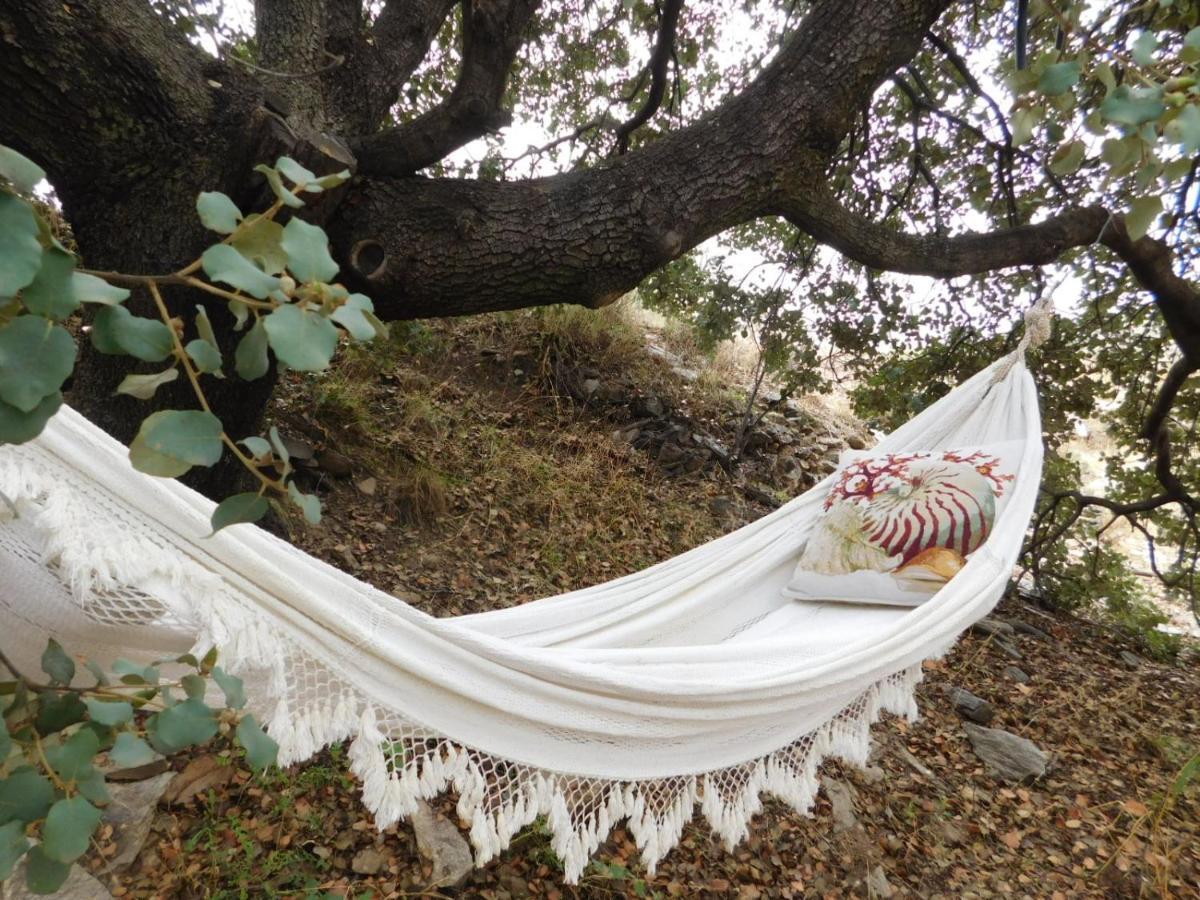 Casa La Colina Mandarina I Villa Tahal Dış mekan fotoğraf