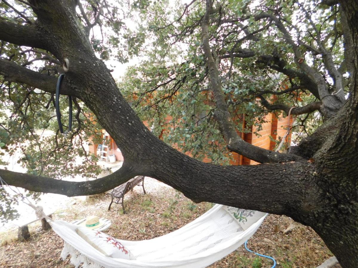 Casa La Colina Mandarina I Villa Tahal Dış mekan fotoğraf