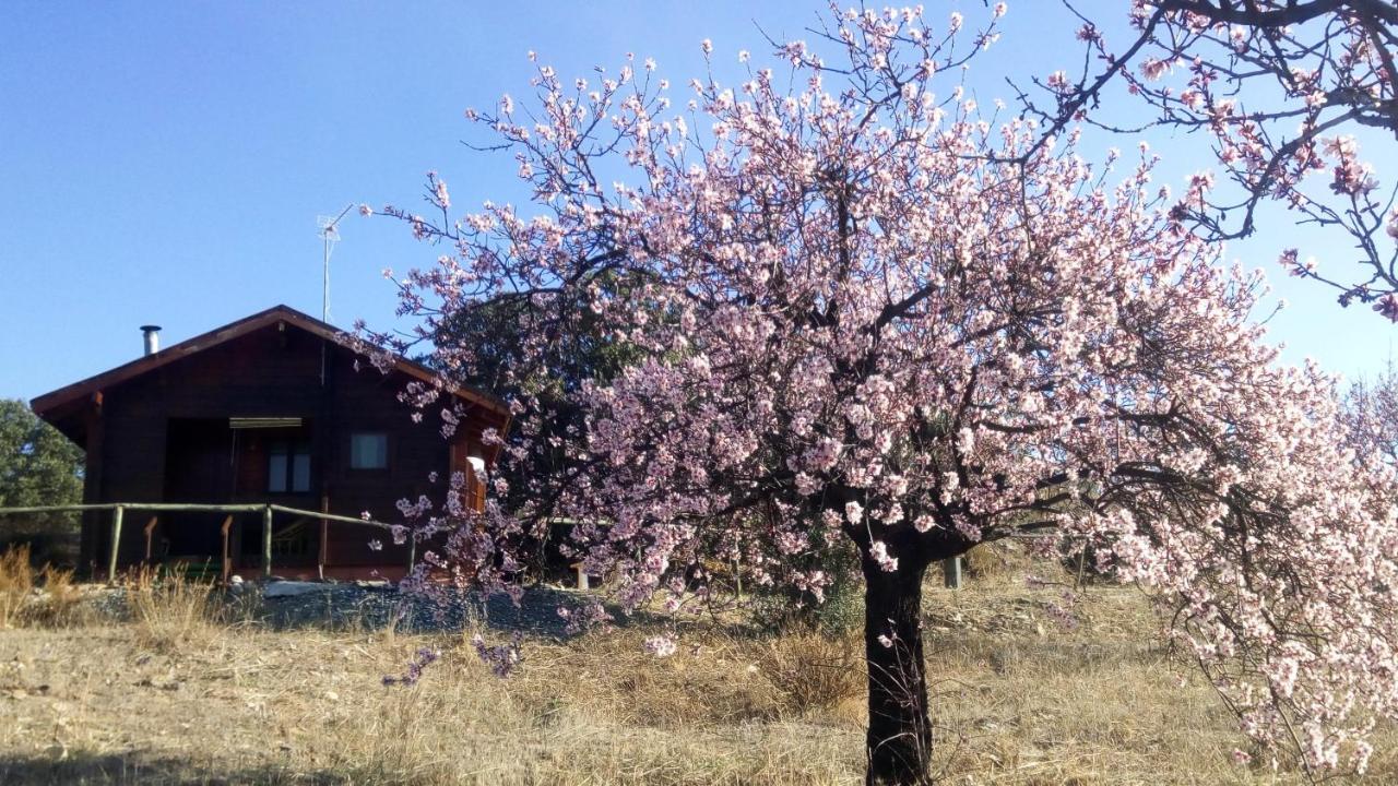 Casa La Colina Mandarina I Villa Tahal Dış mekan fotoğraf