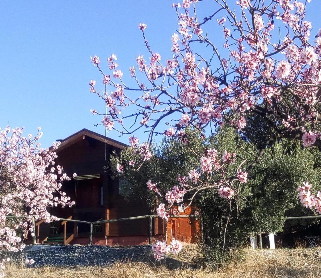 Casa La Colina Mandarina I Villa Tahal Dış mekan fotoğraf