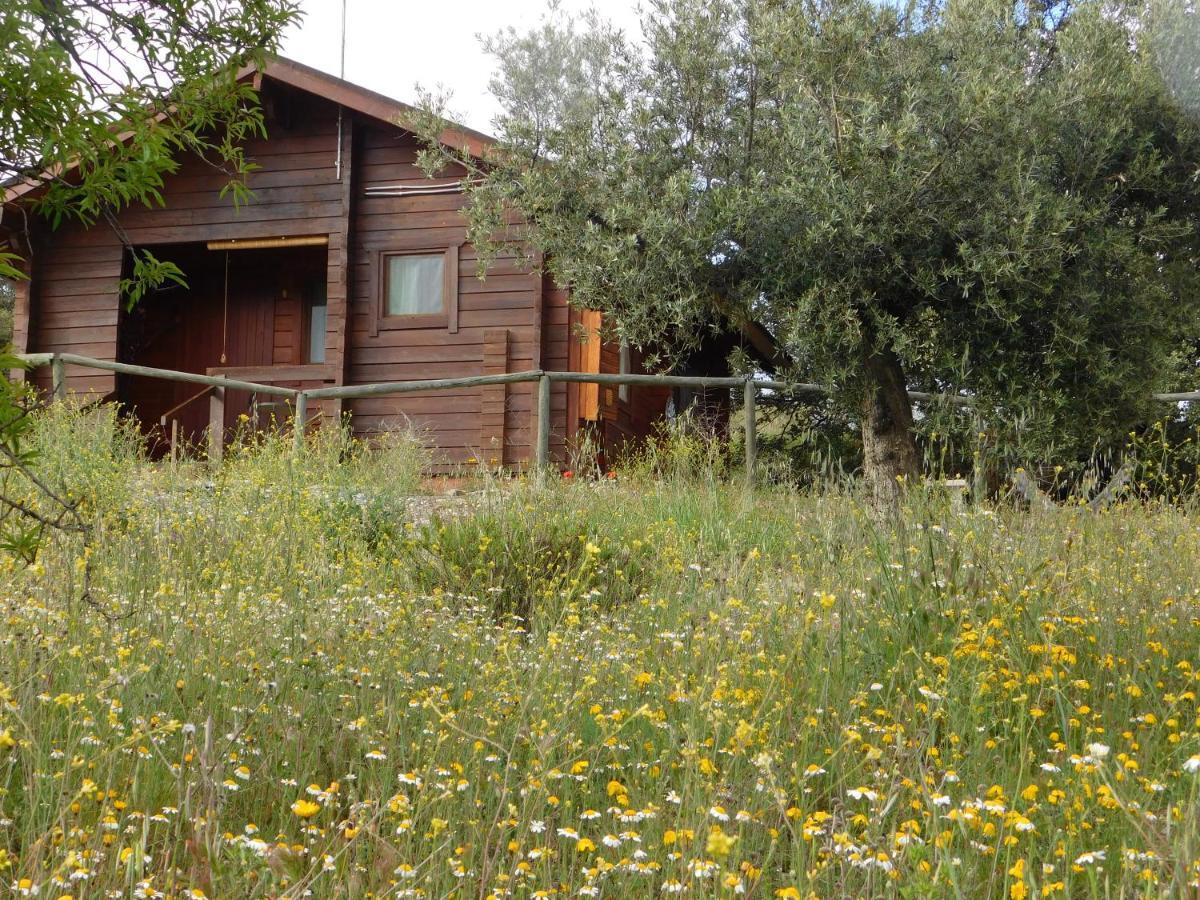 Casa La Colina Mandarina I Villa Tahal Dış mekan fotoğraf