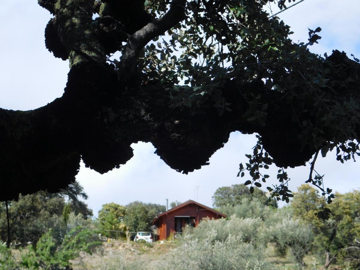 Casa La Colina Mandarina I Villa Tahal Dış mekan fotoğraf